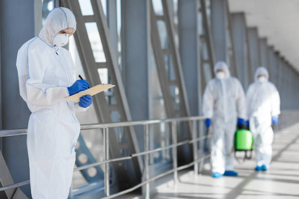 Best Black Mold Removal  in Deatsville, AL